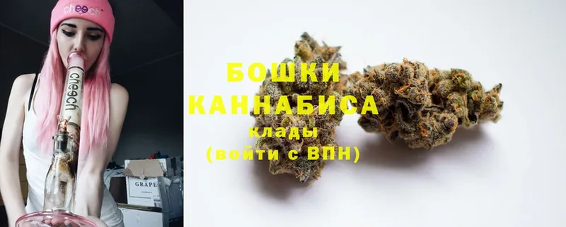 купить наркотики цена  Канаш  Марихуана SATIVA & INDICA 